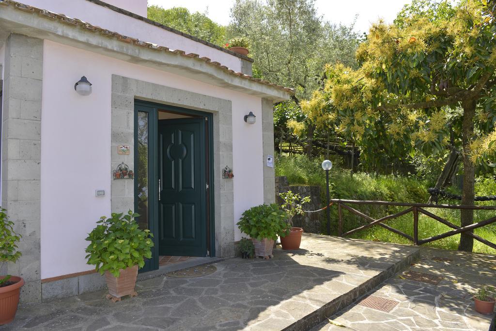 Il Casale Sorrento Hotel Ngoại thất bức ảnh