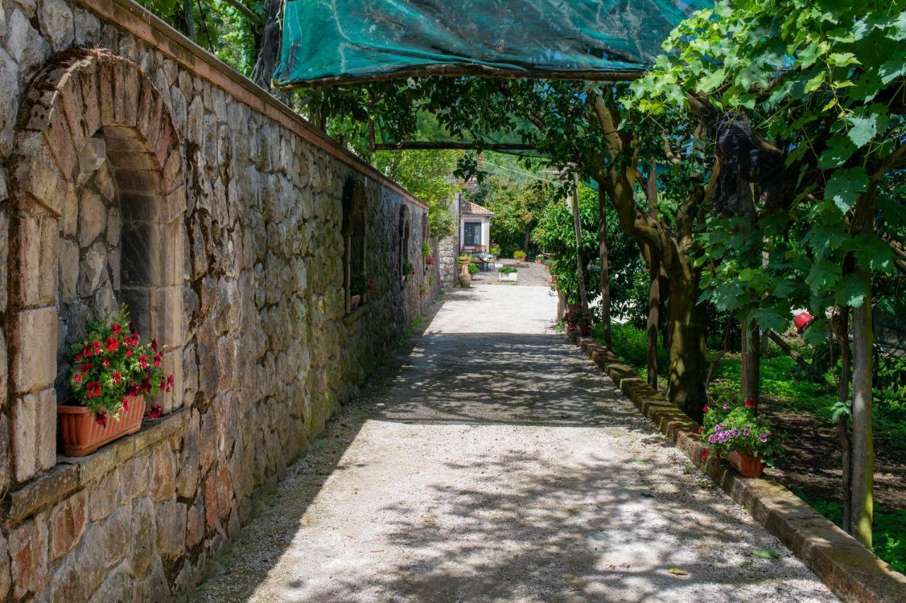Il Casale Sorrento Hotel Ngoại thất bức ảnh